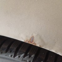 Заднее левое крыло