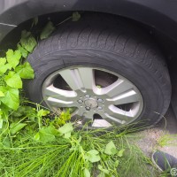 Фото транспортного средства
