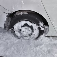 Фото транспортного средства