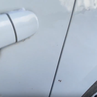 Заднее левое крыло