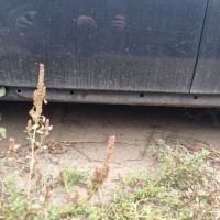 Левый порог