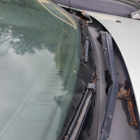 Ветровое стекло