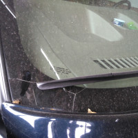 Ветровое стекло