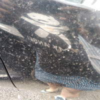 Переднее правое крыло