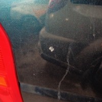 Заднее правое крыло