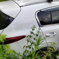 Фото транспортного средства