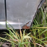 Переднее правое крыло