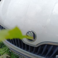 Фото транспортного средства