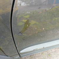 Передняя левая дверь