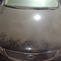 Фото транспортного средства