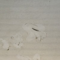 Задняя левая дверь