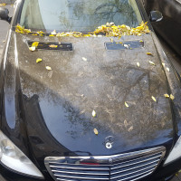 Фото транспортного средства