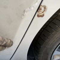 Заднее левое крыло