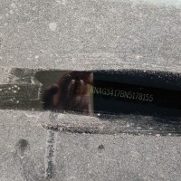 Фото транспортного средства