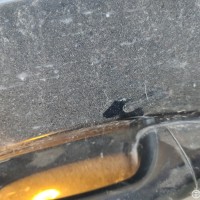 Передняя левая дверь