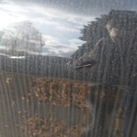 Задняя правая дверь