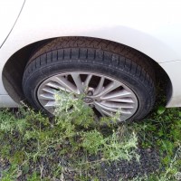 Фото транспортного средства