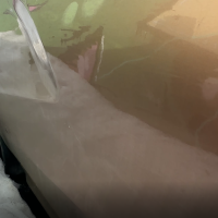 Передняя левая дверь