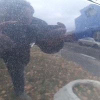 Задняя левая дверь