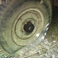 Фото транспортного средства